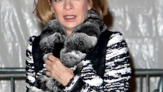 Wintour Hates Jerk Chicken; PETA Is Pissed At Brooke